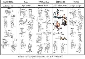 Vücut Geliştirme Antrenman Programı Vücut Geliştirme Antrenman Programı
