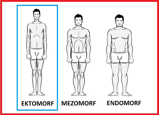 Ektomorf Vcut